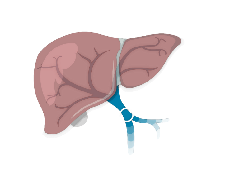 Medical consultation