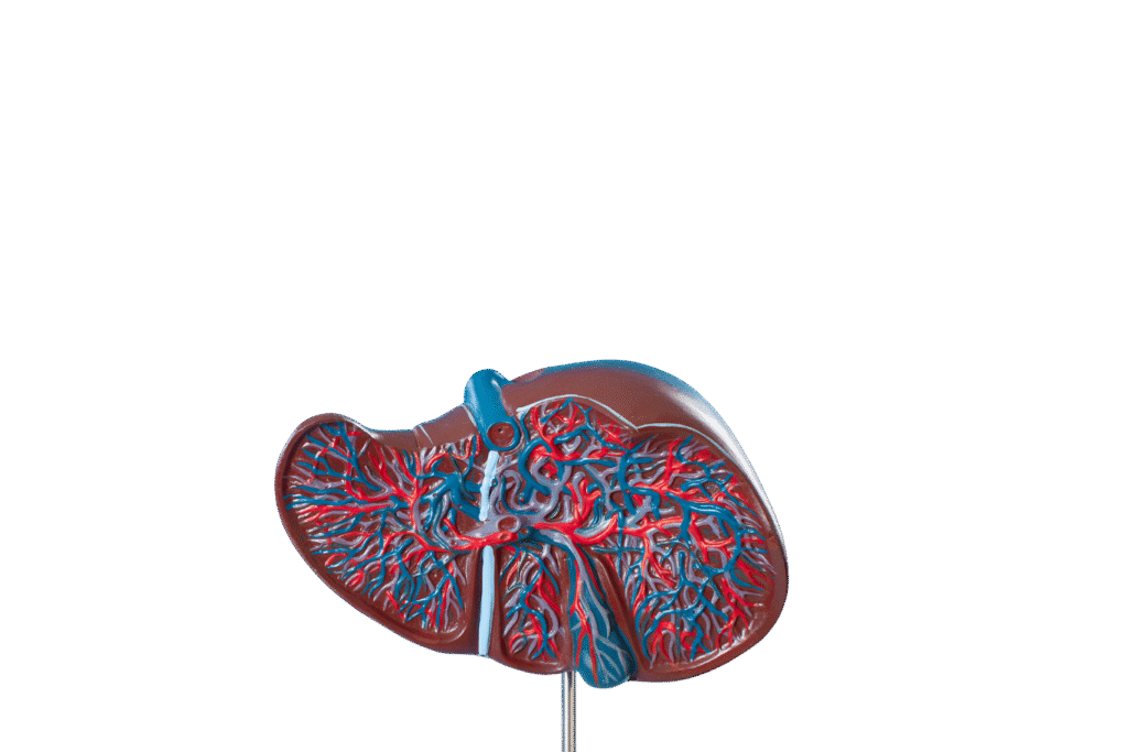 Dr. Dharmendra Dangi consultation